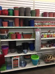 See actions taken by the people who manage and post content. Tons Of Gardening Stuff At Dollar Tree Seeds Bulbs Pots Gardening