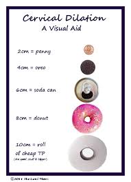 Cervical Dilation Chart Babycenter