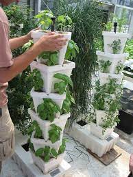 Stacked Pots Of Basil Vertical Garden