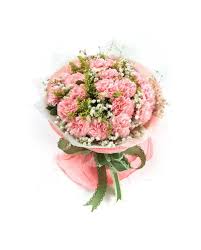 17 pink carnations with baby s breath