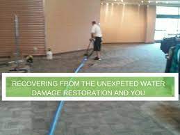 the king carpet cleaning water damage