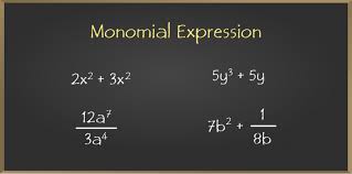 algebraic expressions and identities