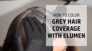 How To Color Cover Grey Hair With Elumen Lets Play Elumen Series Goldwell Education Plus