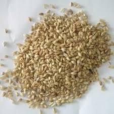 the healthiest grain in the world
