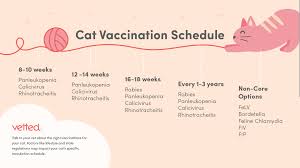 Downloadable Dog And Cat Vaccination Schedules