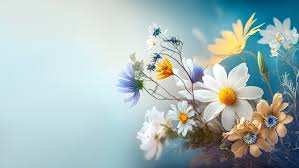 flower background images browse 102