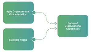 Creating Agile Organizations gambar png