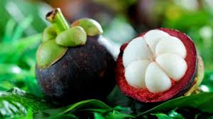Mangosteen the Queen of fruits Slow Beauty Eco Salon Canberra ACT