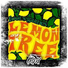 fools garden yellow lemon tree free
