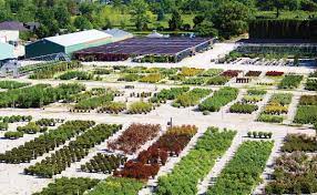 Explore other popular stores near you from over 7 million businesses with over 142 million reviews and opinions from yelpers. Plant Nursery Near Me The Benefits And Guide 2021 Gardening Pool
