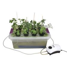 visual desktop hydroponics kit