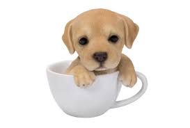 golden retriever teacup puppy statue