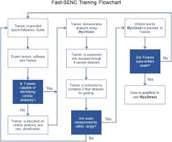 Fast Senc Training Flowchart Before Starting The Analysis