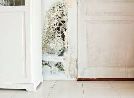 Dangerous Mold Growth In The Laundry Room