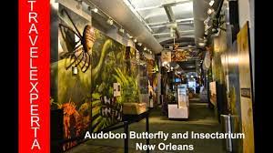 audubon erfly garden and