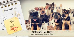 My brother and i grew up with dogs! National Pet Day April 11 National Day Calendar
