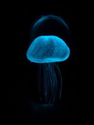 Art Glass Jellyfish Paperweight Glow In