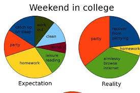 College Explained Perfectly In Pie Charts