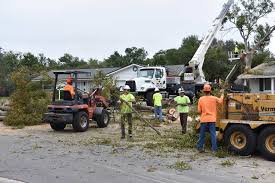 With more than 30 years of combined experience, we're proud to say we're up to the task of tree removal, trimming and maintenance, no matter how big or small. Tree Trimming Removal Services In Orlando Fl Kevin S Tree Service
