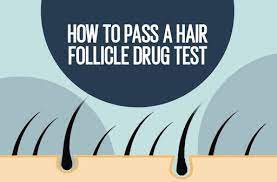 This is what makes things tricky, while thc is present in your saliva and the macujo method is the most advanced method to pass a hair drug test. How To Pass A Hair Follicle Drug Test 5 Best Detox Shampoos And Methods For Hair Drug Tests Paid Content St Louis St Louis News And Events Riverfront Times