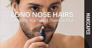 long nose hairs and why you need them