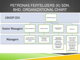 Management Functions All About Petronas