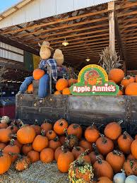 We did not find results for: Pumpkin Picking Tucson Area Patches Tucson Guide