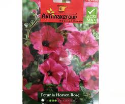 petunia heaven rose flower seeds by