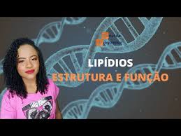 lipids structure and function eightify