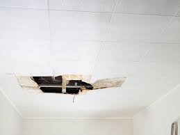 Is Drywall Mold Dangerous