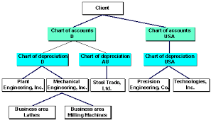 Graphic Organizational Structure 1 Sap Library Asset
