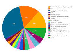 business report pie pie chart examples