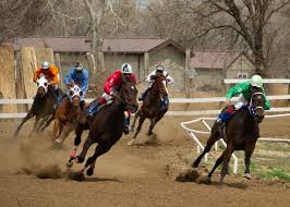 Now, everybody has a personal favorite. Horse Racing Returns To Ft Pierre October 3 4 Tsln Com