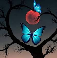 Imagenes de mariposas - Página 2 Images?q=tbn:ANd9GcQMNrP_FvwWXq-LARYl0EWQVHpolZr0W59T1g&usqp=CAU