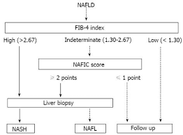Limitations Of Liver Biopsy And Non Invasive Diagnostic