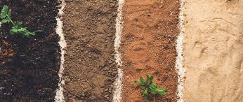 Heavy Clay And Sandy Soils For Planting