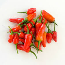 yes you can freeze your chillies and