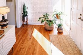 prevent sun damage to hardwood floors