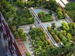 Rooftop Gardens Could Solve Singapore S