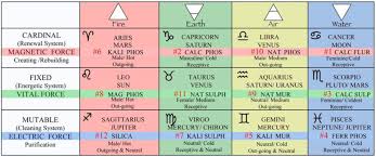 Zodiac Biochemic Cell Salts In Medical Astrology Jyotish