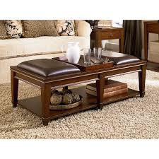 This Coffee Table Can Serve Double Duty