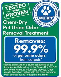 pet urine odor removal in hickory