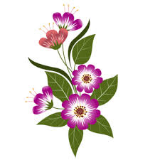 pink colour flower png vector psd