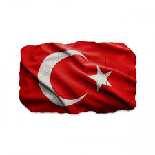 Bayrak türkiye haritası stok vektörler ve telifsiz illüstrasyonlar. Turk Bayragi Magnet