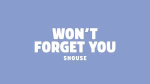 Shouse - Won't Forget You (Lyrics) - YouTube