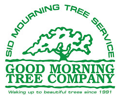 This includes working for tree care companies, landscapers, municipalities, or one of several other employers. Certified Arborist In Austin Tx Sid Mourning Tree Service