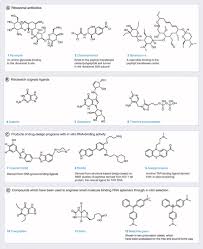 Bgp routing table entry for 10.100.10./24 paths: Strategies For The Design Of Rna Binding Small Molecules Future Medicinal Chemistry