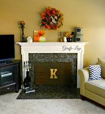 Insulated Fireplace Cover