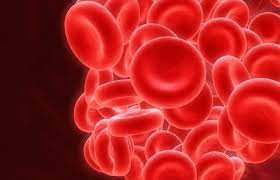 Inicio » la hemofilia » historia de la hemofilia. 17 De Abril Dia Mundial De La Hemofilia Enterate24 Com