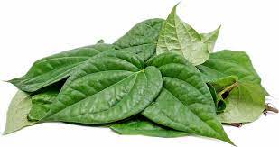 paan leaves information and facts